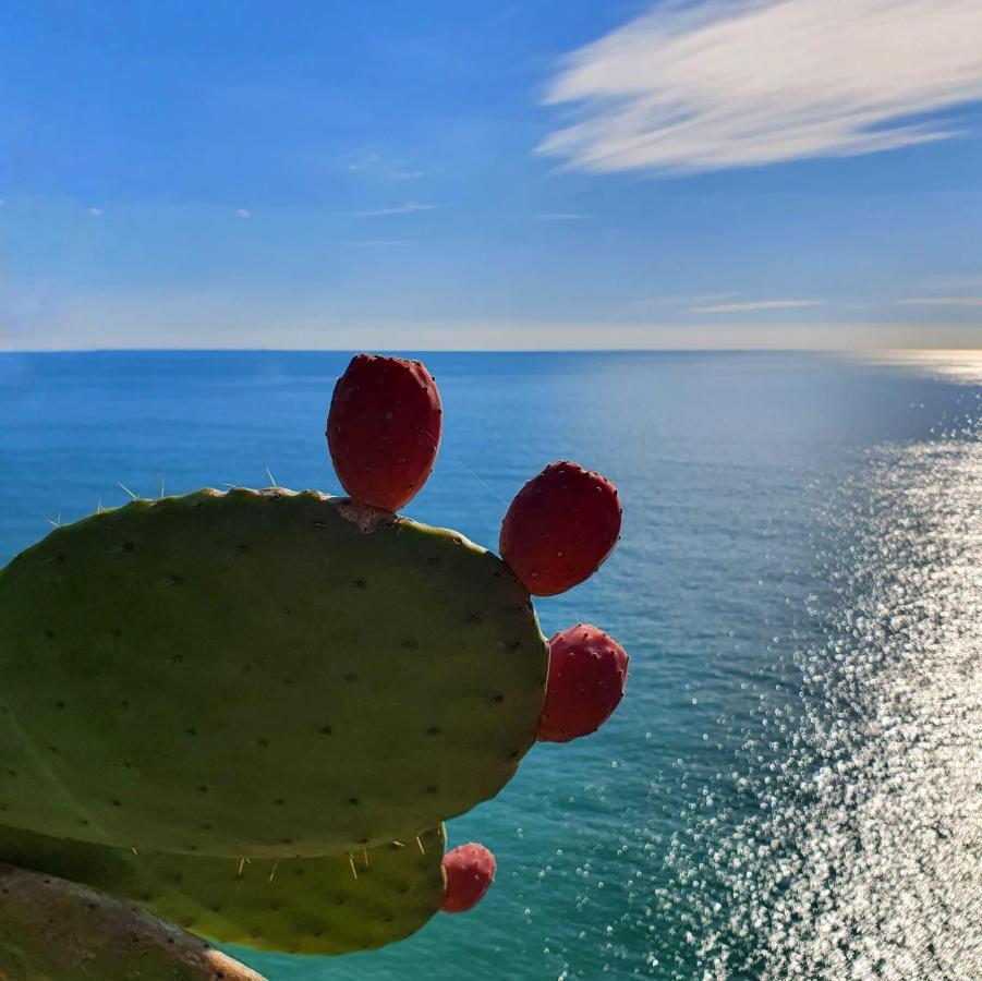 La Terrazza Sul Blu Leilighet Corniglia Eksteriør bilde