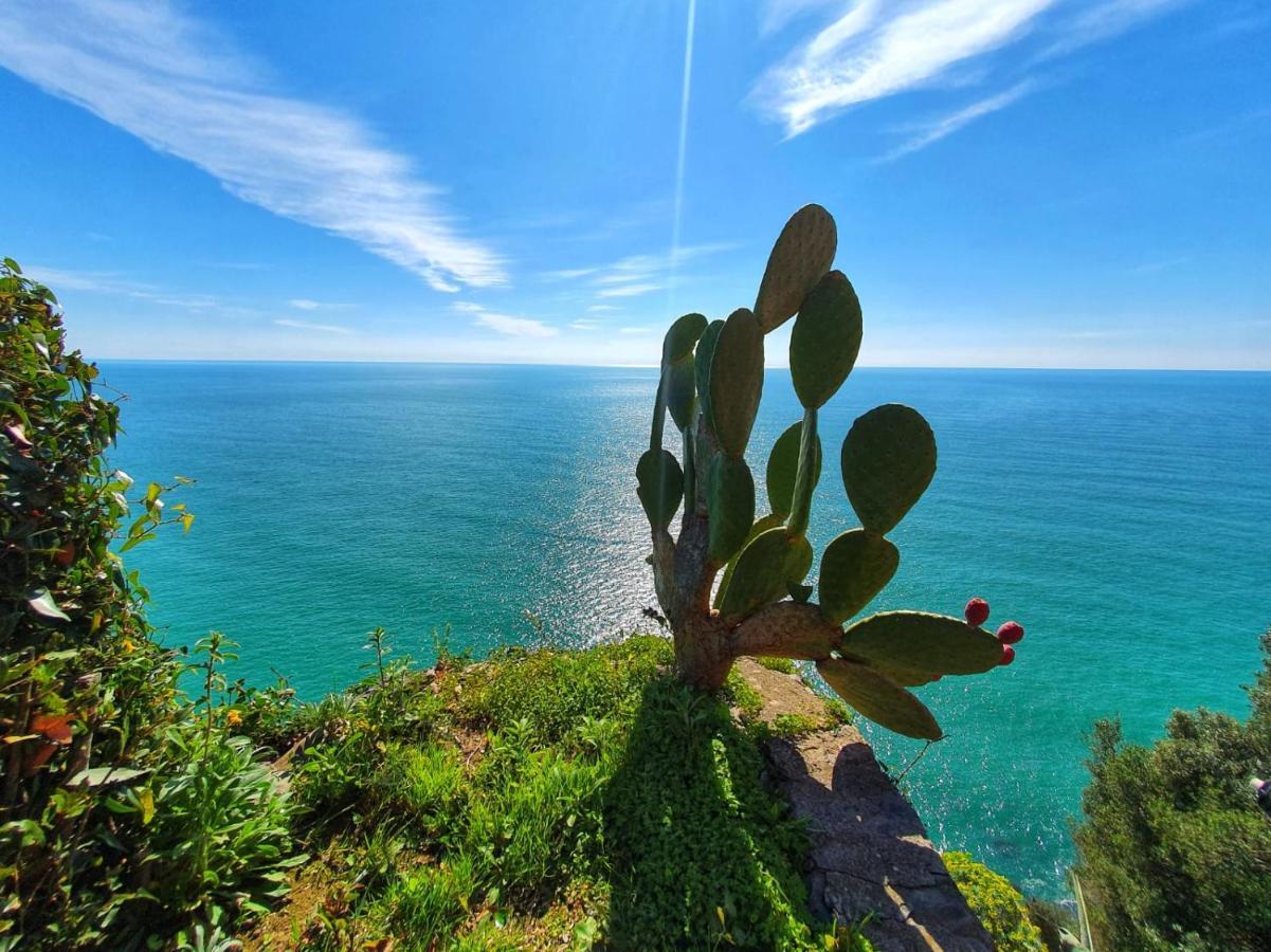 La Terrazza Sul Blu Leilighet Corniglia Eksteriør bilde