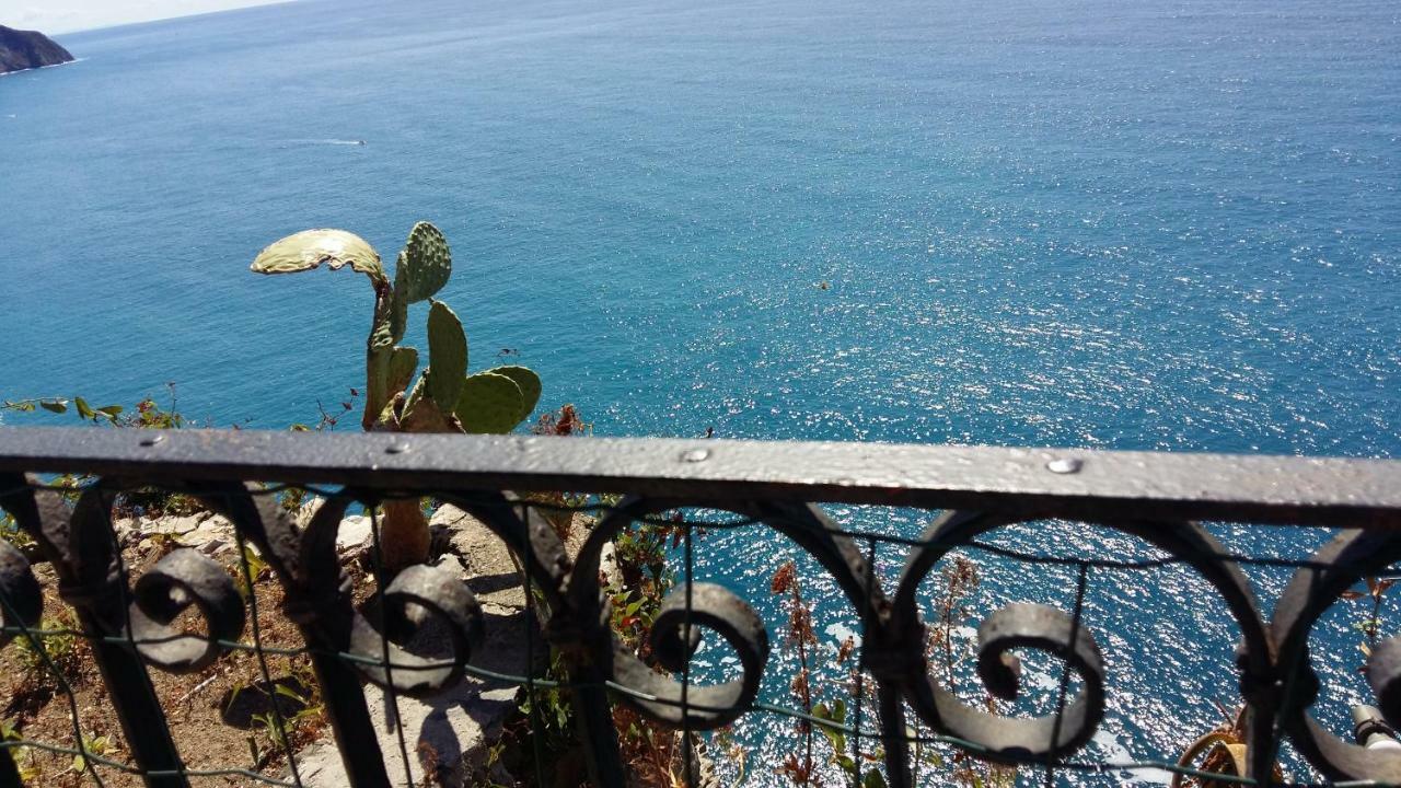 La Terrazza Sul Blu Leilighet Corniglia Eksteriør bilde